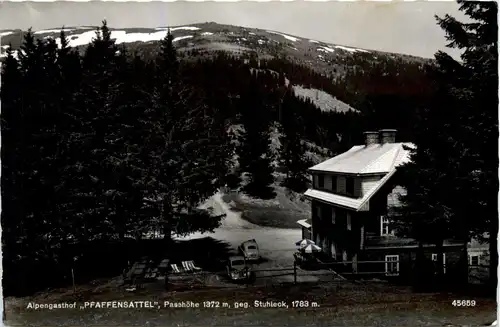 Mürzzuschlag/Steiermark - Alpengasthof Pfaffensattel gegen Stuhleck -310664