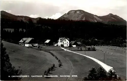 Maruazell/Steiermark - H. Greifensteiners Gasthaus Franzbauer, Salzatal -308398