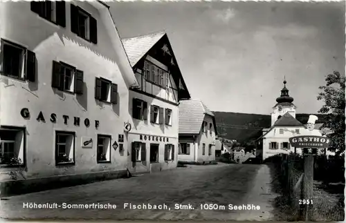 Weiz/Steiermark - Sommerfrische Fischbach - -309892