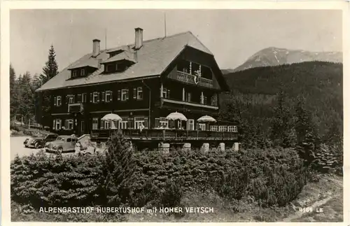 Mürzzuschlag/Steiermark - Alpenhotel Hubertushof, Sollerhöhe m.Hoher Veitsch -309852