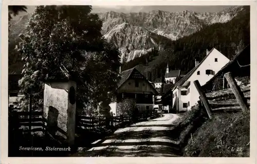 Mürzzuschlag/Steiermark - Seewiesen, -310512