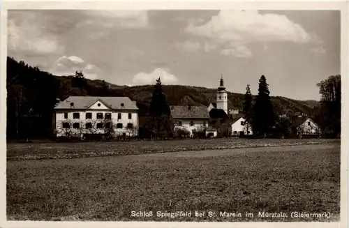 Mürzzuschlag/Steiermark - Schloss Spiegelfeld bei St.Marein im Mürztal -309946