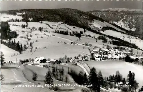 Weiz/Steiermark -Sommerfrische Fischbach -Wintersportplatz -308902