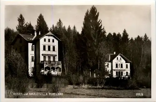 Graz/Steiermark - Tobelbad, Rosen und Marienvilla -310596