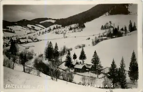 Mürzzuschlag/Steiermark - Steinhaus a. Semmering - Skigelände -310356