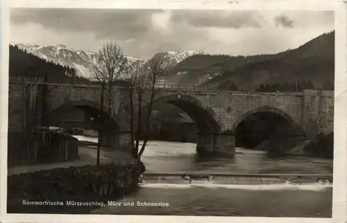 Mürzzuschlag/Steiermark - Mürzzuschlag - Mürz und Schneealpe -310292