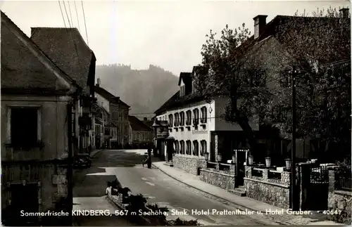 Mürzzuschlag/Steiermark - Kindberg, Hotel Prettenthaler und Hotel Gruber -310432