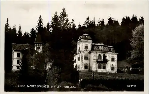 Graz/Steiermark - Tobelbad, Morreschlössl und Villa Portugal -310594