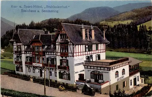 Mürzzuschlag - Kur-und Sport-Hotel Stuhleckerhof - Steinhaus -310674