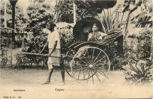 Ceylon Ginricksha -217716
