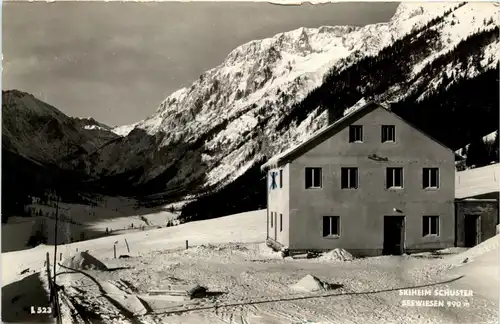 Mariazell/Steiermark - Seewiesen, Skiheim Schuster -310046
