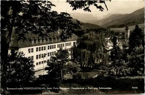 Mürzzuschlag - Peter Rosenegger - Hauprschule u. Park gegen Schneealpe -310264