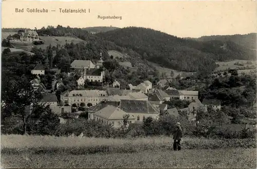 Bad Gottleuba -267956
