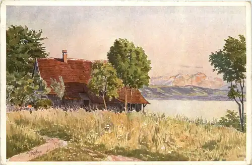 Langenargen - Schussen Mündung -267300