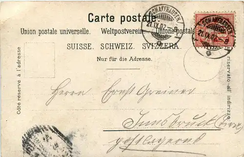 Rheinfall bei Beleuchtung -268384