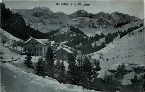 Rossfall im Winter -268882