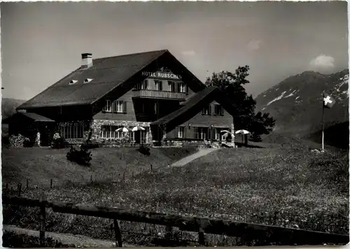 Braunwald - Berghotel Rubschen -269298