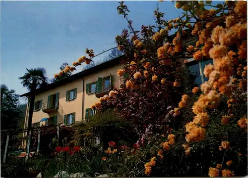 Monti-Locarno Pension Tabor -269132