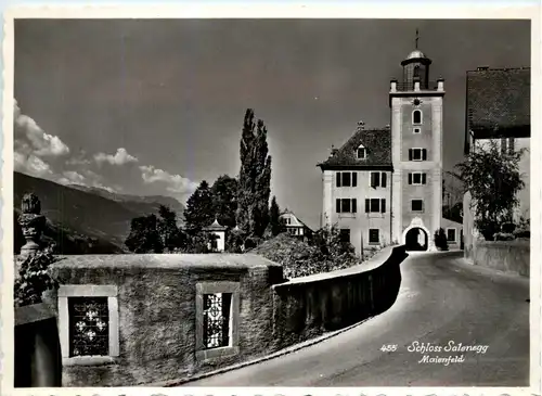 Maienfeld - Schloss Salenegg -268524