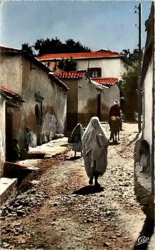 Blida - Rue du Quartie -219652