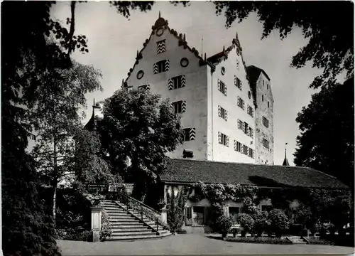 Schloss Wildegg -269180