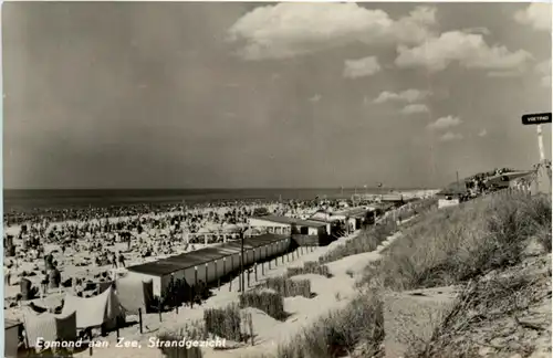 Egmond aan Zee -219756