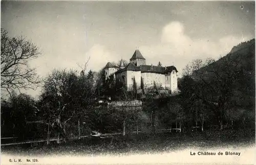 Le Chateau de Blonay -268224