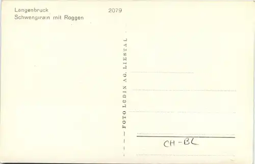 Langenbruck - Schwengirain -269406