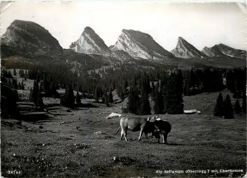 Alp Sellamatt -268766