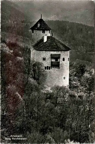 Arlesheim - Burg Reichenstein -269214