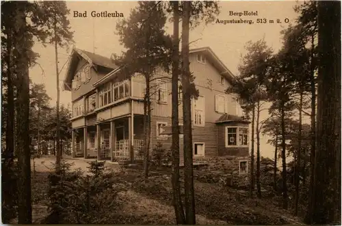 Bad Gottleuba - Berg Hotel -267982