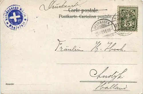 Gruss vom Rheinfall - Litho -268360