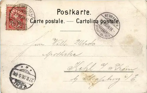 Gruss vom Rheinfall - Litho -268428