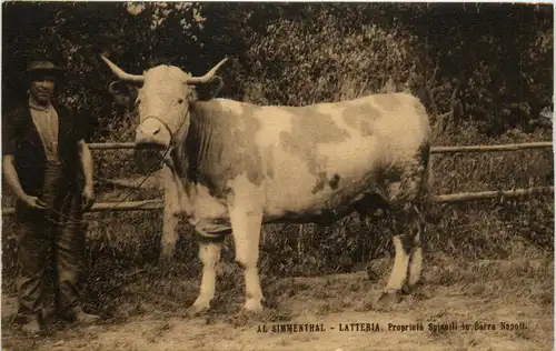 Al Simmenthal Latteria Napoli -270354