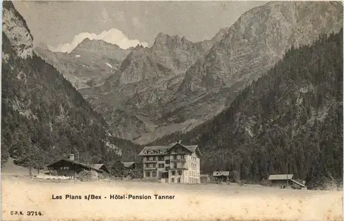 Les Plans sur Bex - Hotel Pension Tanner -271600