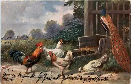 Huhn - Pfau - Künstlerkarte Schönian -271130