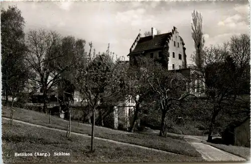 Bellikon - Schloss -269264