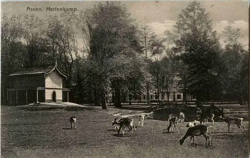 Assen - Hertenkamp -28652