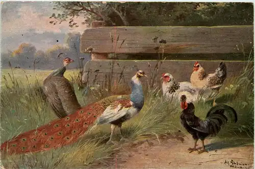 Huhn - Pfau - Künstlerkarte Schönian -271132