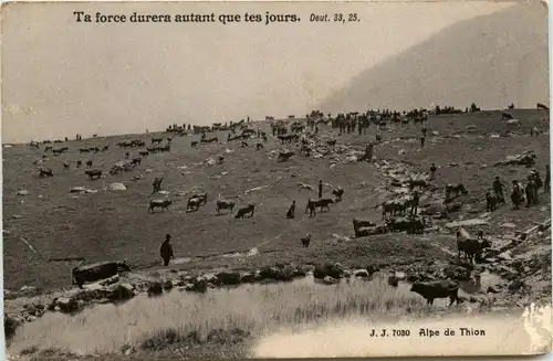 Alpe de Thion -271656
