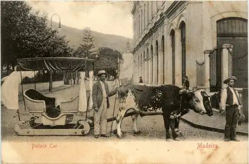 Madeira - Pullock Car -281024