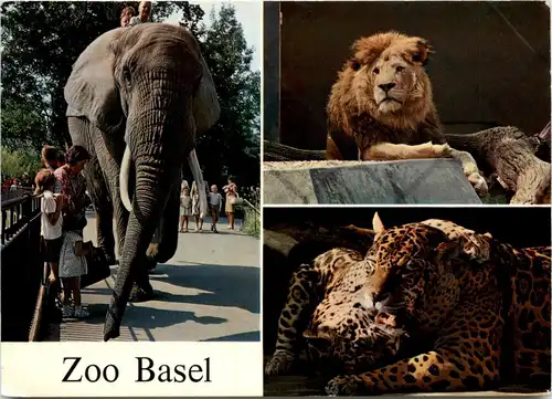 Zoo Basel - Elefant -273630