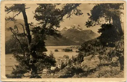 Campfer - Silvaplana -273650