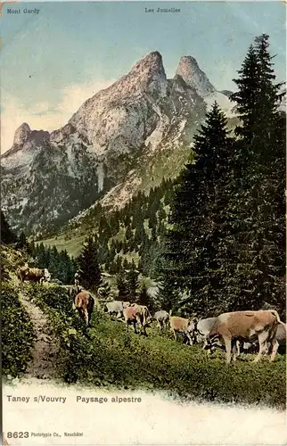 Taney sur Vouvry -271650