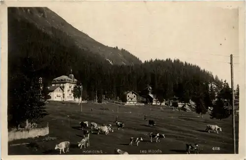 Morgins - Les Hotels -271710