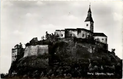 Sonstige Burgenland - Güssing, Burgruine -311578