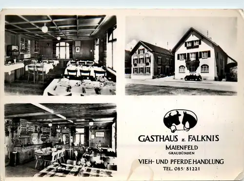 Maienfeld - Gasthaus zur Falknis -274674