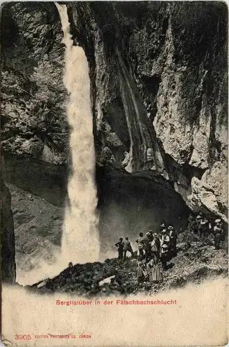 Berglistüber in der Fätschbachschlucht -273952