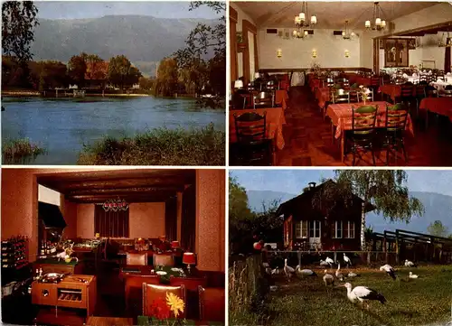 Altreu - Wirtschaft zum Grünen Affen -274008