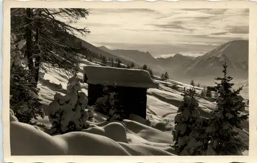 Davos - Winterstimmung am Bolgen -274076